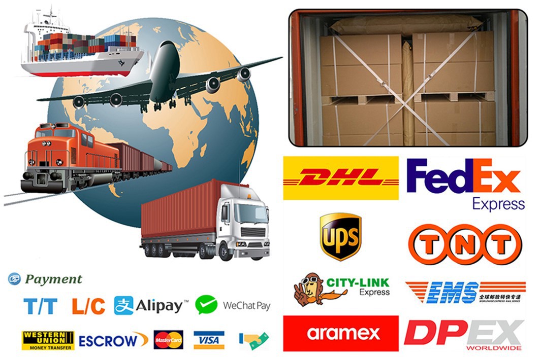 transportation transportation